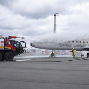 Cloué au sol Sophie Brändström