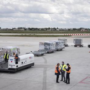 Cloué au sol Sophie Brändström