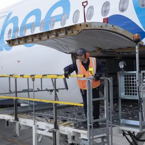 Cloué au sol Sophie Brändström