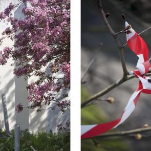 Au seuil du printemps Jérémie Jung