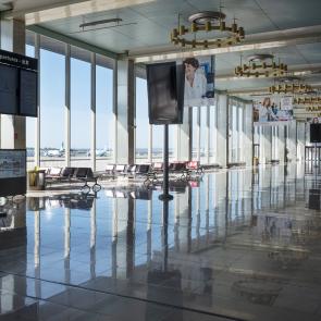 Cloué au sol Sophie Brändström