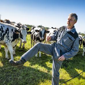 Goudelin chronique d'un village breton Bernard le Bars