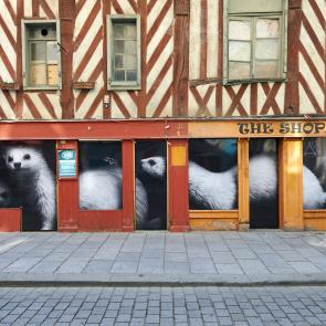 Rennes sous Covid, archives Thierry Pasquet