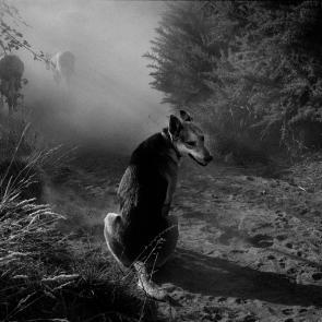 Chile, Dias Abiertos, le bout du voyage Eric Facon