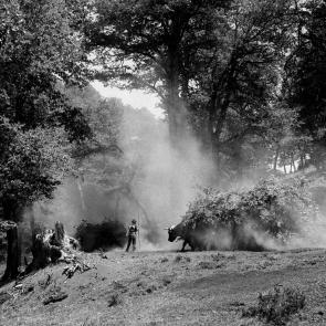 Chile, Dias Abiertos, le bout du voyage Eric Facon