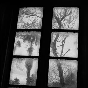 Vagabond, dans tes pas Eric Facon