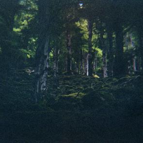 Based on a true story - Arno Brignon