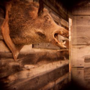 Based on a true story - Arno Brignon