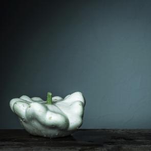 Still Life Joanna Tarlet Gauteur