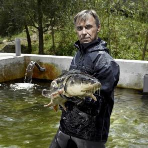 Goût de la terre Thierry Borredon
