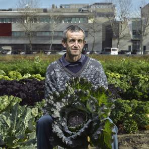 Goût de la terre Thierry Borredon