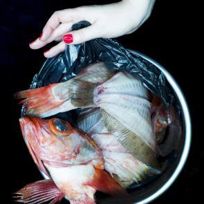 Save The Planet Joanna Tarlet Gauteur