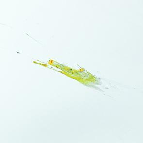 L'accident Laurent Monlaü