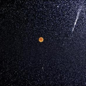 L'accident Laurent Monlaü