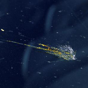 L'accident Laurent Monlaü