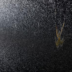 L'accident Laurent Monlaü