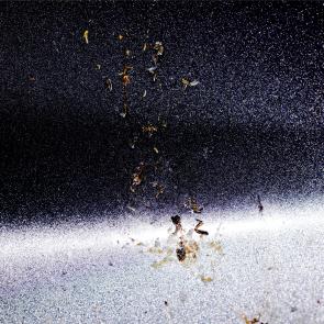 L'accident Laurent Monlaü