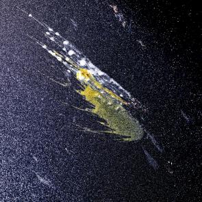 L'accident Laurent Monlaü