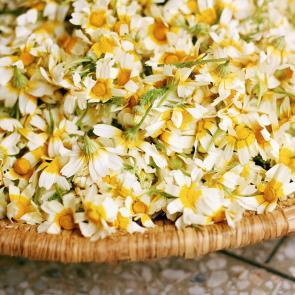 Tout n'est pas si rose Mélanie Bahuon