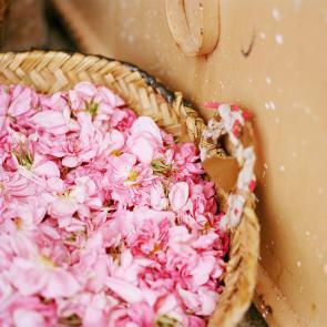 Tout n'est pas si rose Mélanie Bahuon