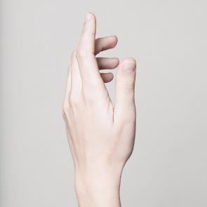 Still Life Mélanie Bahuon