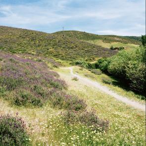 Tout n'est pas si rose Mélanie Bahuon