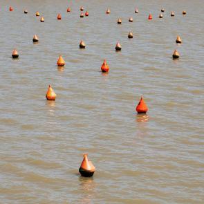 Horizon éloigné Mélanie Bahuon