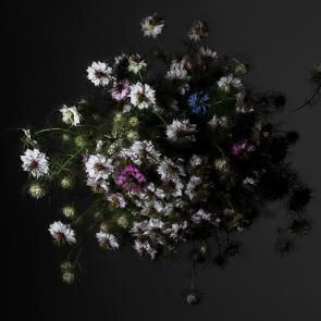 Still Life Mélanie Bahuon