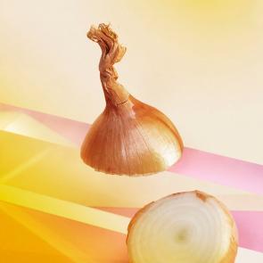 Still Life Mélanie Bahuon