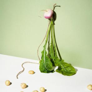 Still Life Mélanie Bahuon