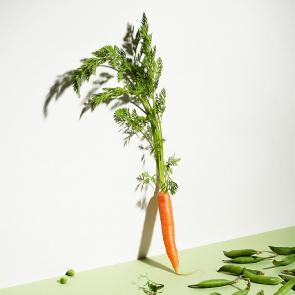 Still Life Mélanie Bahuon