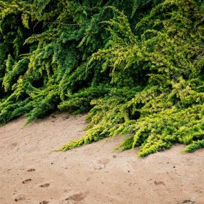 A contre-courant Mélanie Bahuon