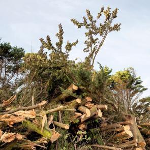 A contre-courant Mélanie Bahuon