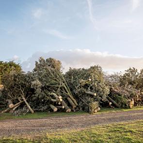 A contre-courant Mélanie Bahuon