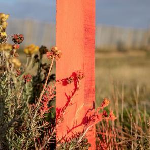 A contre-courant Mélanie Bahuon