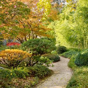 Sandrine Expilly_JARDINS DU MUSEE ALBERT KAHN