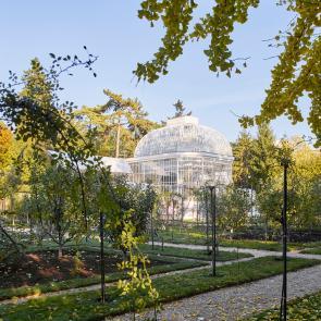  Sandrine Expilly_ JARDINS DU MUSEE ALBERT KAHN