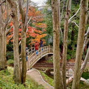 Sandrine Expilly_JARDINS DU MUSEE ALBERT KAHN