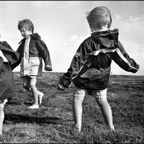 Les Goupy à la mer Didier Goupy