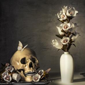 Embouteillages Ludovic Aluss