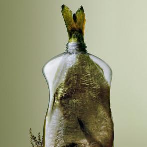 Embouteillages Ludovic Alussi