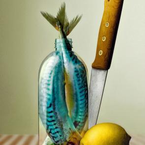 Embouteillages Ludovic Alussi