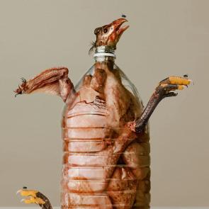 Embouteillages Ludovic Alussi