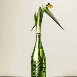 Embouteillages Ludovic Alussi