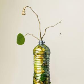 Embouteillages Ludovic Alussi