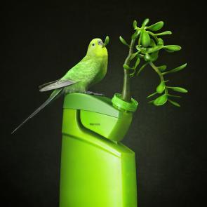 Embouteillages Ludovic Alussi