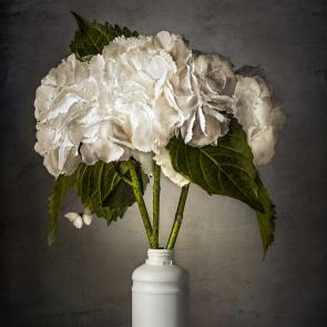 Embouteillages Ludovic Alussi