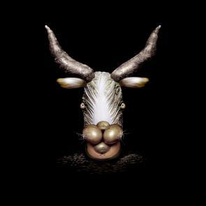 Mutants Ludovic Alussi