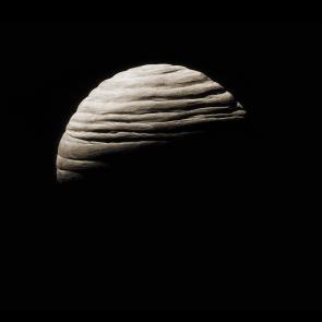 Entre les barbelés Ludovic Alussi