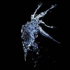 Entre les barbelés Ludovic Alussi